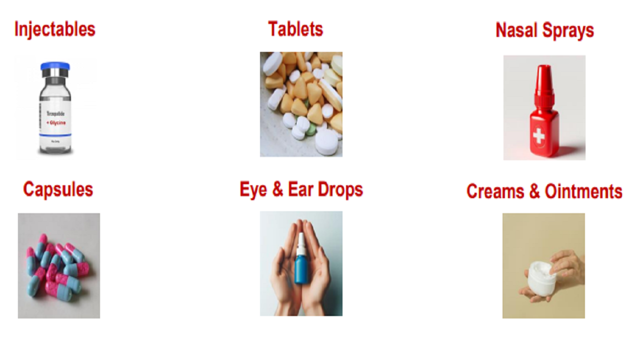 health pals capabilities version two